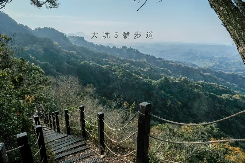 【大坑5號登山步道】台中高CP值仙境步道，挑戰山稜線縱走，登頭嵙山小百岳美景盡收眼底！