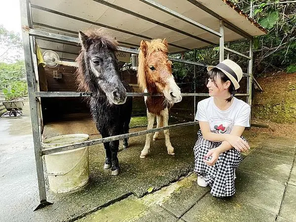 台北三芝│小馬貝菈親子餐廳：北海岸親餵迷你馬體驗、自家耕種食材、自製手工餅乾【附菜單】【不限時餐廳】【親子餐廳】