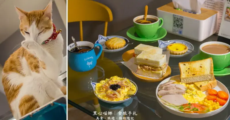 高雄左營︱貓之家俱樂部　吃飯有貓陪才香！六隻貓貓不定時微服出巡的港式料理寵物友善餐廳～