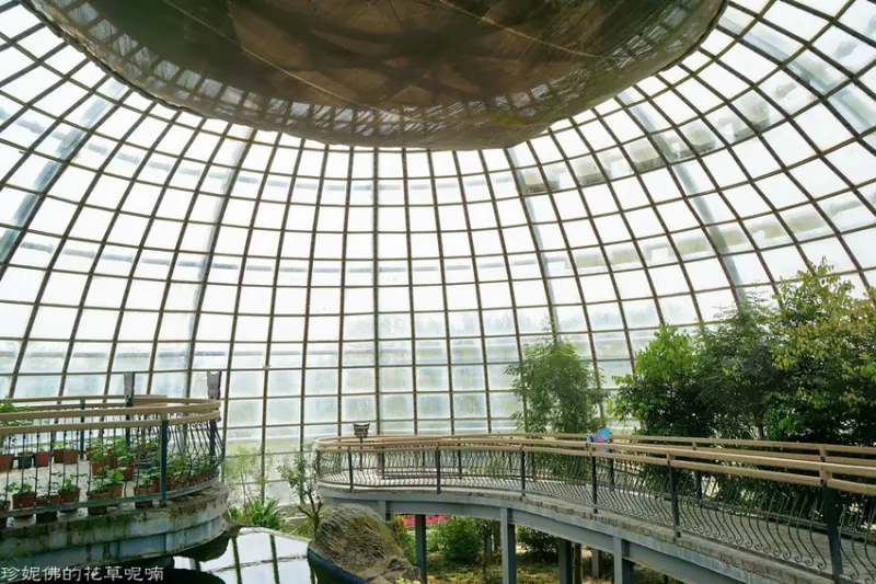 【嘉義市-東區】嘉義親子景點「嘉大昆蟲館」