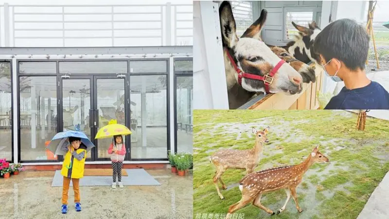2021宜蘭新景點｜春節就來找「呆萌迷你驢」和「梅花鹿」玩吧！還有奶酥人厚片、甜點、咖啡，就在「鄉間小路體驗農場」！