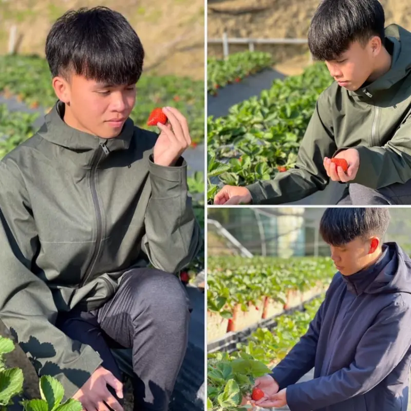 大湖草莓季《山之戀草莓園》發現最甜的草莓