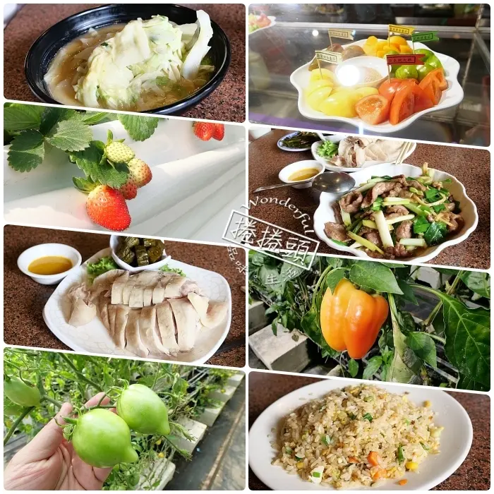 新竹景點⎮金勇DIY休閒農場X福站客家小站。採七彩繽紛新鮮蕃茄、大顆草苺，享受道地客家菜料理！ @捲捲頭 Wonderful 品味。生活