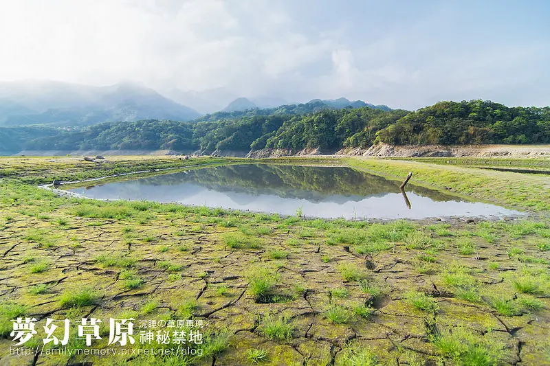 【桃園景點】神秘禁地-沉睡的草原。石門水庫阿姆坪夢幻草園枯水期景點-土地公廟再現