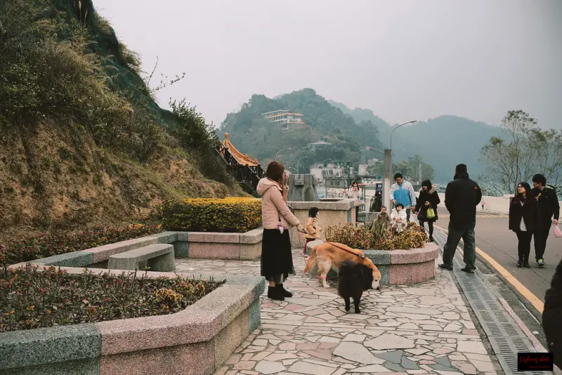 不囉唆的石門水庫的雙狗出任務