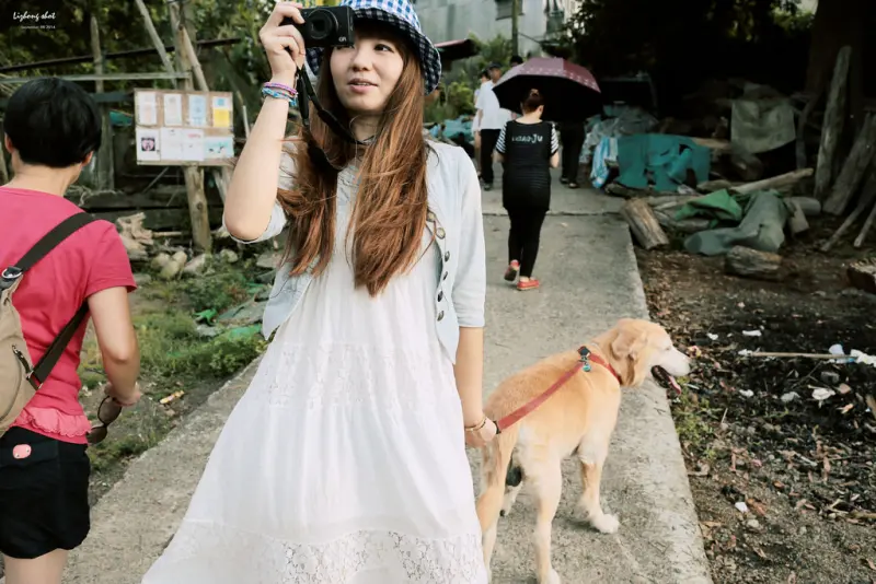 那個從枕頭山變成的薑母島