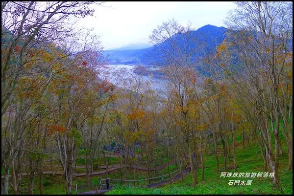 桃園。石門水庫楓又紅了