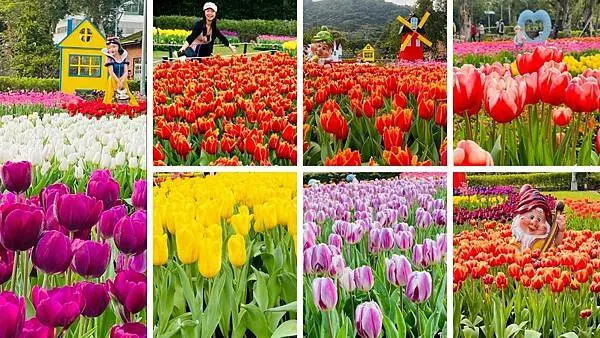 台北最美鬱金香花海│士林官邸鬱金香展2021│美爆了可同時欣賞日本荷蘭土耳其鬱金香│魔幻花都在台北