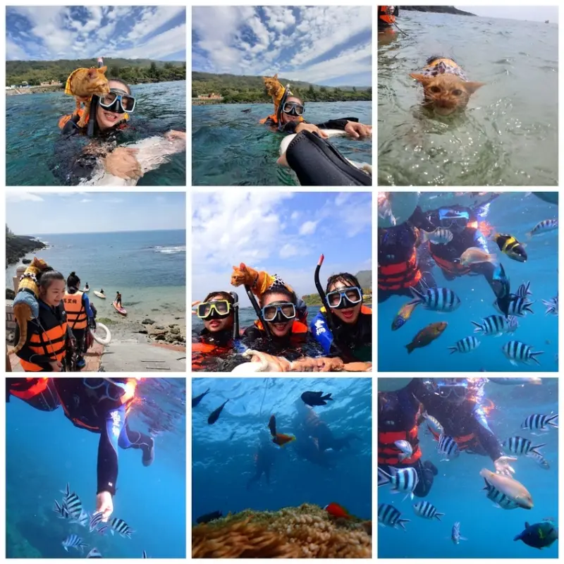 【屏東.墾丁】萬里桐浮淺。人類$350含裝備+寵物免費寵物必須會游泳。辛巴初次體驗浮淺