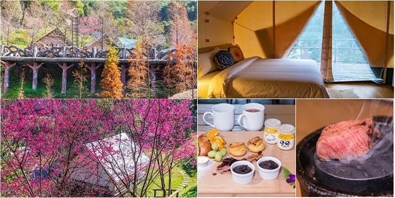 【新竹橫山-美食住宿】野漾莊園.豪宅櫻花樹下帳篷.落羽松木屋.全新露營概念.獨立衛浴.一泊四食和牛.龍蝦吃好吃滿