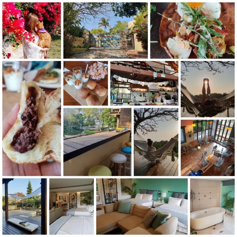 【屏東.恆春】迷路為了看花緩民宿。可觀看到超美夕陽。有店狗哈士奇一隻。下午茶有提供咖啡飲品免費暢喝 