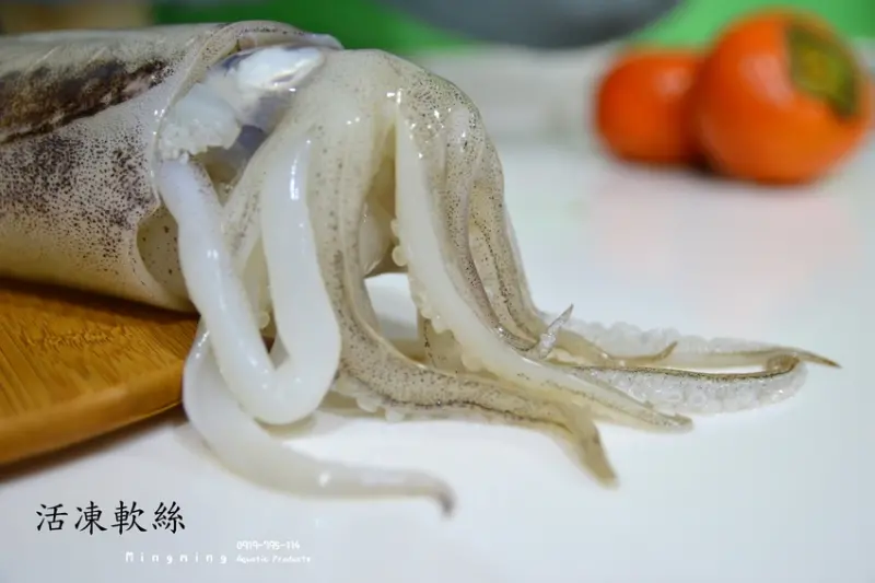 現撈尚青大隻軟絲