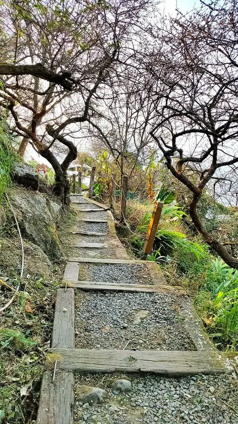 台南步道推薦：關子嶺雞籠山步道 / WalkerLand窩客島整理提供 未經許可不可轉載