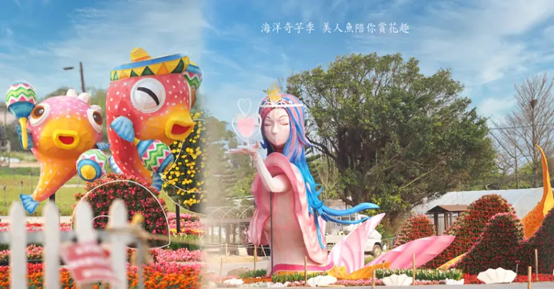 桃園彩色海芋季 6萬株彩色海芋 5米高愛神美人魚 有如置身陸上海底樂園