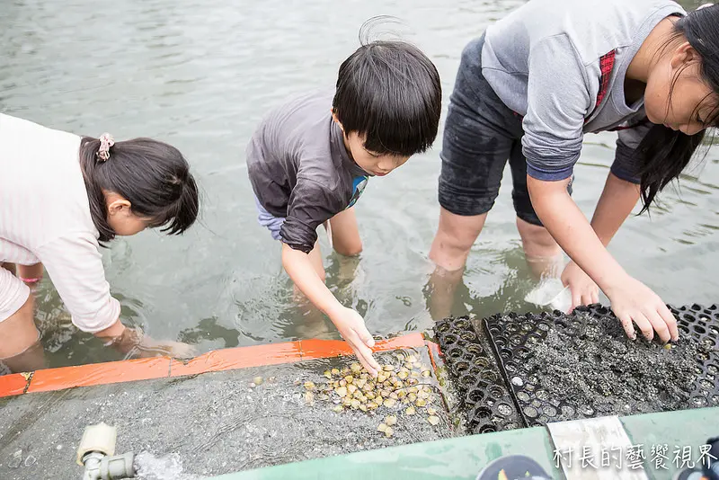 【遊記】｛花蓮。壽豐鄉｝一兼二顧，摸蜊仔兼洗褲的立川漁場