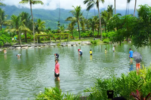 【花蓮。壽豐】立川漁場。蜆之館。摸蜆體驗。五餅二魚餐廳。大啖黃金蜆