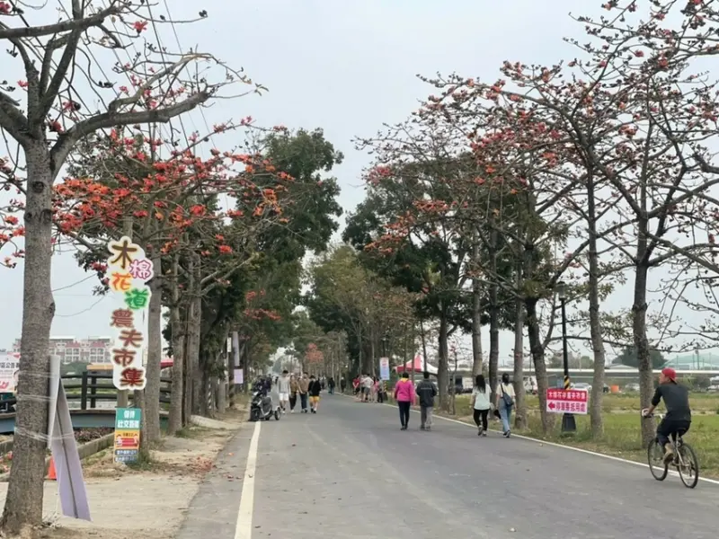 白河林初埤木棉花道｜台南景點 🏵 3月中旬看最美 🏵