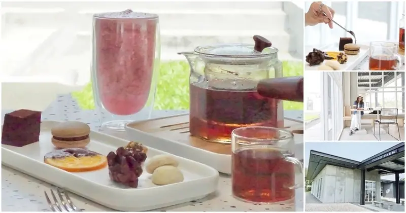 屏東內埔居然也有這麼美的景點！別再說內埔只有小吃了！【Cacao Farm Formosa 福爾摩莎可可農場】屏東景點│屏東旅遊│屏東下午茶