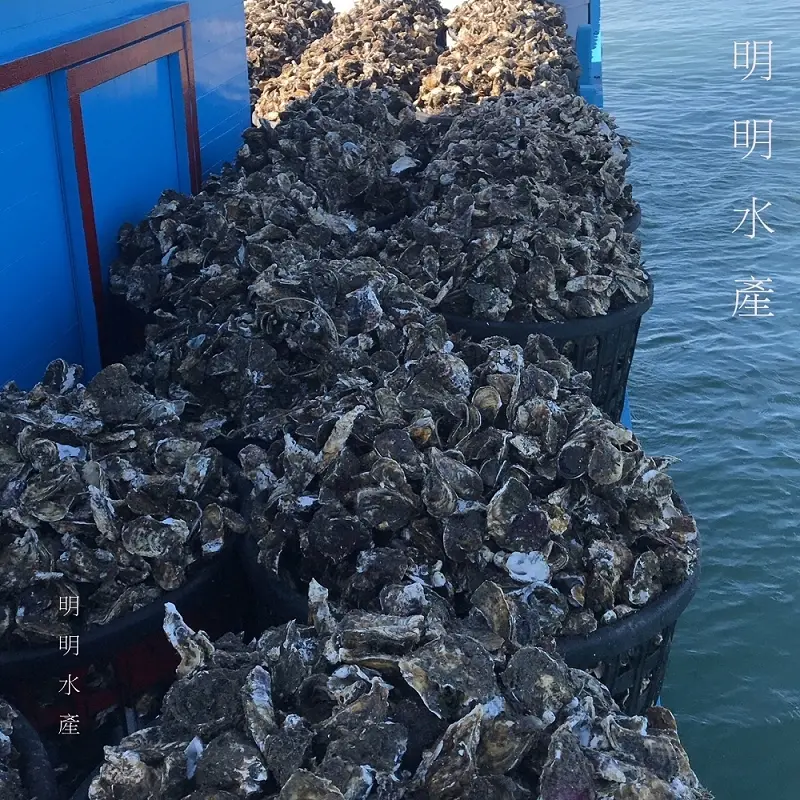 【明明水產行】碳烤東石生蠔、草蝦-產地直銷