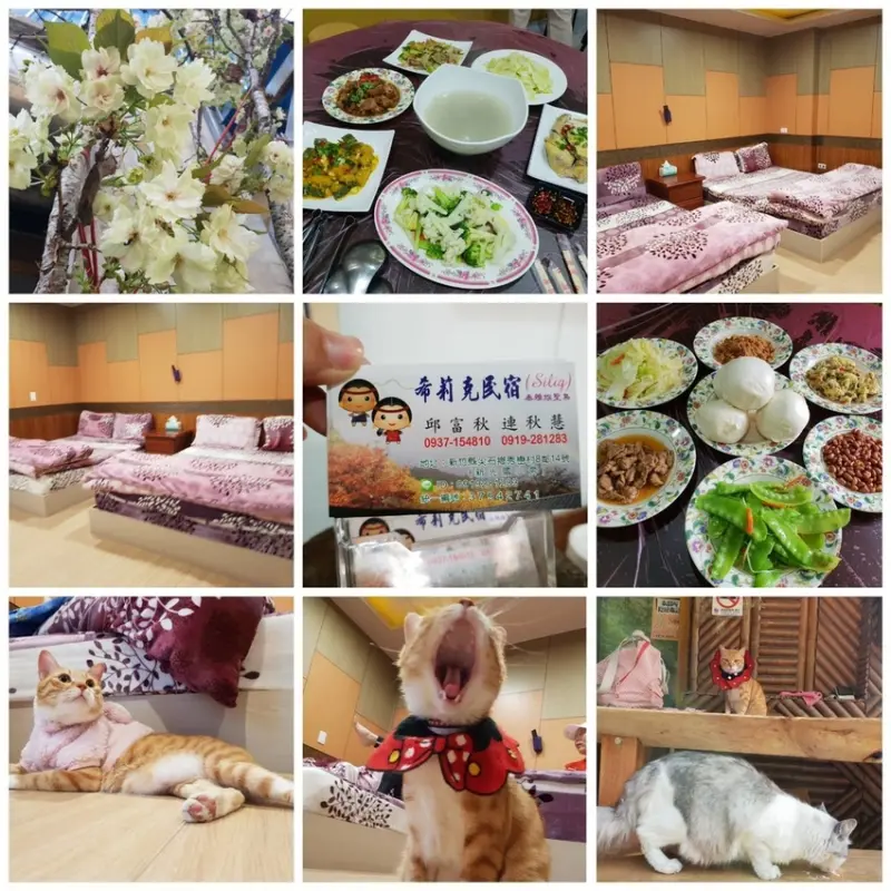 【新竹.鎮西堡】希莉克寵物友善民宿。加購晚餐一人$350廚藝超棒。民宿有貓六七隻