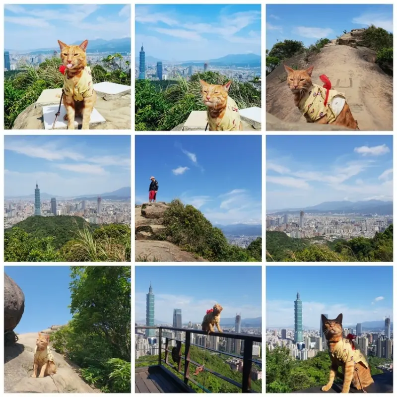 【台北.信義區】象山接拇指山頂可觀看101全景360度無死角。推市立療養院登山口徒步15分鐘到六巨石