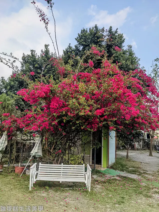 【親子餐廳】瑞比太太 Mrs. Rabbit - 平價餐點，溜小孩好去處