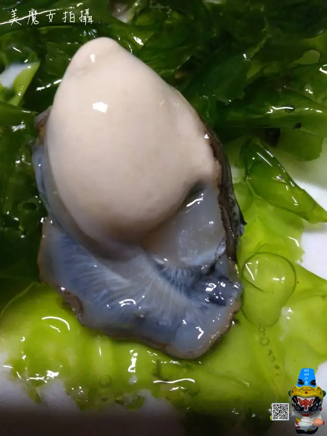 【明明水產行】東石老蚵(牛奶蚵)當天現剖蚵~獨家報導