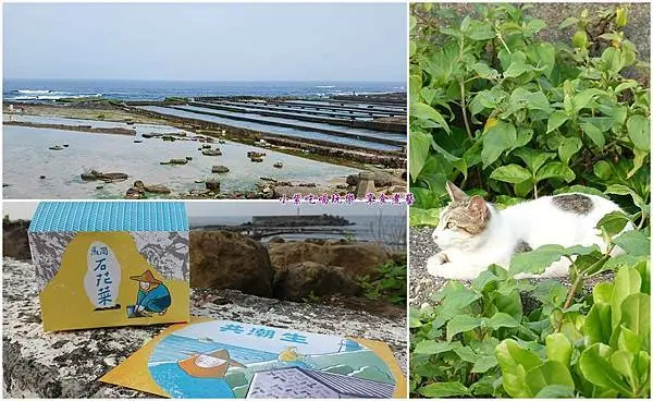 貢寮景點/極東貓村【馬崗記憶生活館】共潮生-探尋馬崗漁村的記憶/親子探遊集章換好禮(遊記)