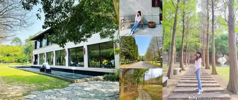 |新竹景點 麻布山林 隱居山中與世隔絕的森林秘境|