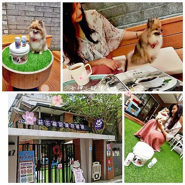 萌寵聯盟》可以盡情奔跑的寵物天堂 ★益生寵愛會館 ‧ 跟著Dr. Pet一起守護毛孩的健康