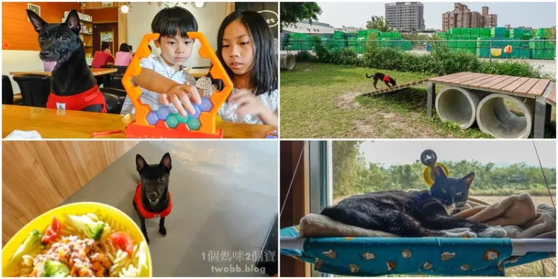 【新北景點｜ 小黑小白寵物休閒餐廳-寵物友善餐廳，擁有大草皮狗狗盡情奔跑，提供好吃的餐點，奴才與狗狗一起填飽肚肚。 - 1個媽咪2個寶