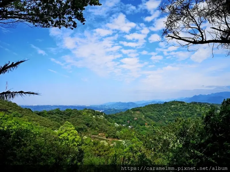 【新竹芎林】飛鳳山步道（觀日坪古道） 人品大爆發可以直接看到台北101