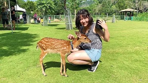 嘉義逐鹿傳說梅花鹿園：從未與鹿如此親近的我，心中小鹿亂撞│嘉義阿里山推薦親子餵鹿體驗【親子景點】