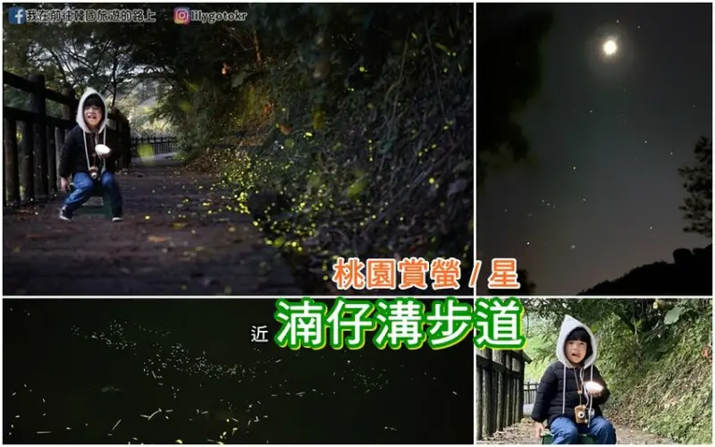 桃園．大溪｜賞螢秘境「湳仔溝步道」，適合親子賞螢＆攝影新手，鄰近舊百吉隧道
