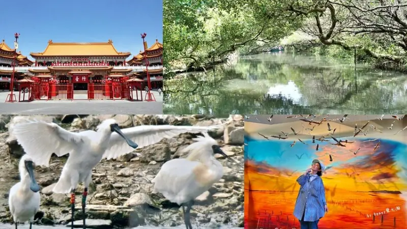 ★台灣好行★【 99 安平台江線 】台南海陸雙拼公車小旅行一日遊。