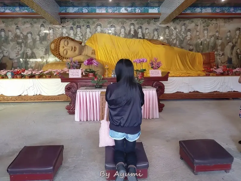 [高雄六龜景點推薦]假日哪裡去?我們去高雄六龜號稱擁有東南亞最大的樟木雕刻臥佛像－諦願寺/十八羅漢山服務區探險韓劇中的隧道/同步上映:六龜大佛