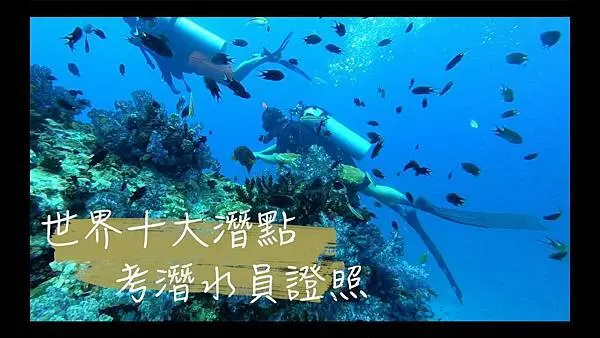 丨泰國丨Richelieu Rock丨挑戰世界十大潛點學潛水，超高CP值套裝行程!!!，四天四夜船潛14支，3萬元有找！