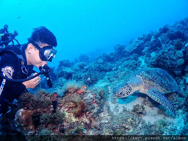 【小琉球潛水】潛雪潛水背包客棧。潛水初體驗，體驗潛水，在海裡跟海龜共遊，首推潛雪熱情潛水團隊！