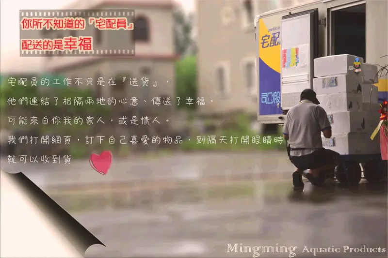 明明水產-海產批發