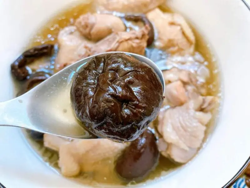 【台灣在地優選食材】用台中新社香菇料理出美味香菇雞湯！大朵香菇肉質厚實，香味四溢