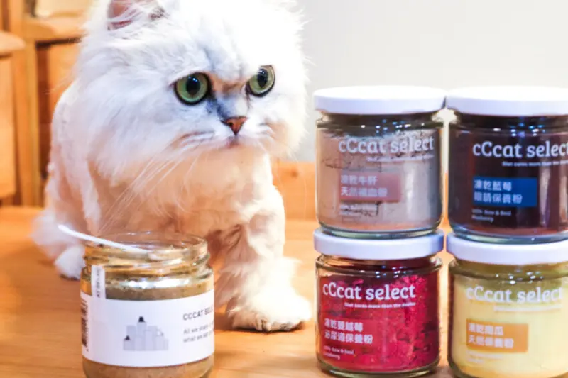 寵物美食丨貓咪食品丨貓咪罐頭丨貓咪