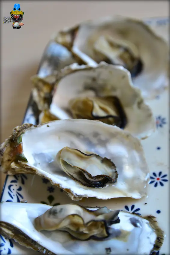 【明明水產】清蒸東石生蠔 ※生蠔購買10斤送1斤