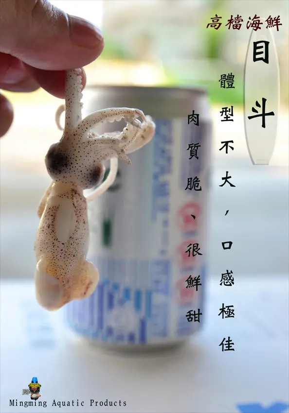 東石魚市場-目斗