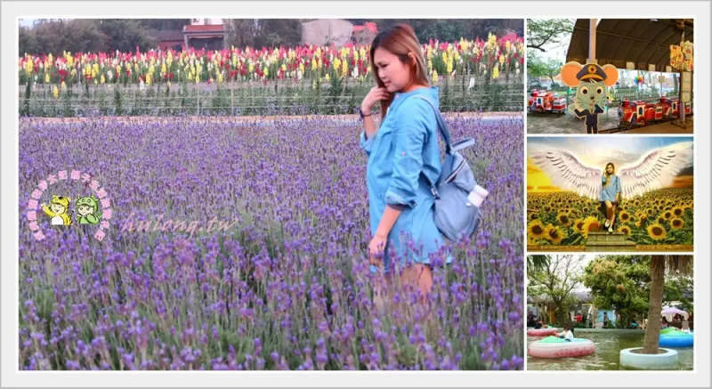 【向陽農場 薰衣草景點】桃園賞花+親子一日遊 幸福花物語一次收藏! - 虎虎龍龍*珍太妃