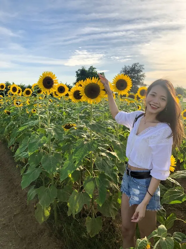 [慧♡分享]桃園向陽農場.超夢幻巨大向日葵花海.親子共樂好去處