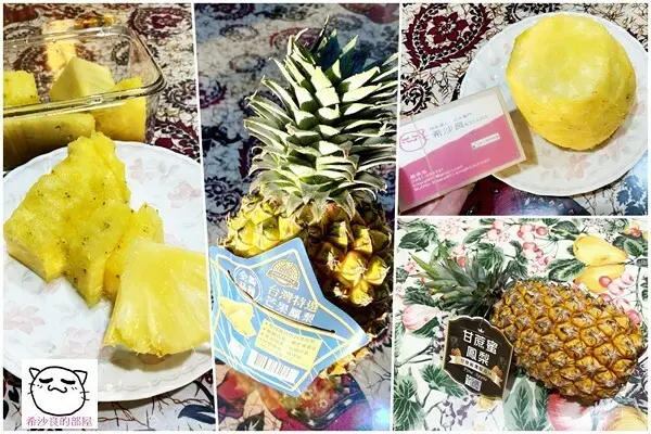 台灣水果．別以為台灣鳳梨只有金鑽一種！──芒果鳳梨、甘蔗蜜鳳梨