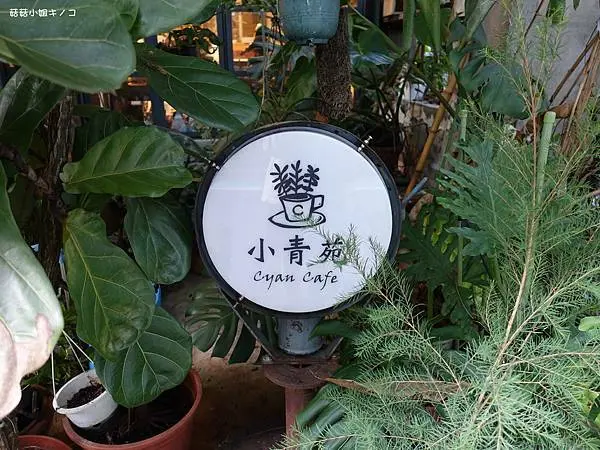 <板南線>捷運市政府站-綠意盎然風格咖啡廳~小青苑 Cyan Cafe~