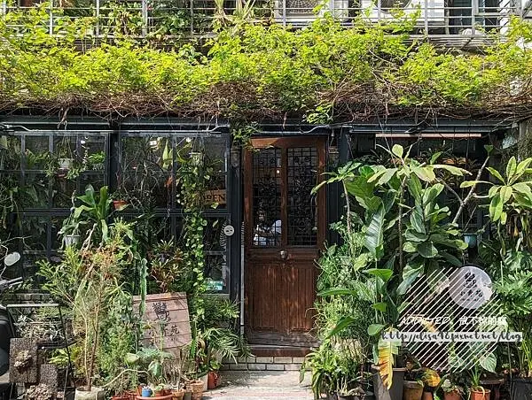 台北信義-[小青苑 Cyan Cafe] 近市政府捷運站4號出口，特攝怪獸公仔環繞的療癒空間，手沖咖啡與千層麵輕食午餐，市中心遺世獨立文青森林系咖啡廳