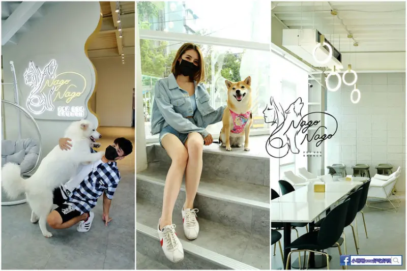 【食。台中】Nago Nago-寵物友善餐廳〜台中2021新開幕餐廳。8隻狗店長超萌高人氣，闆娘超辣，最友善的寵物餐廳就在這裡！