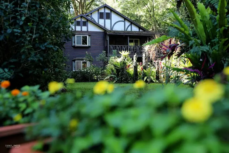 隱身山林迷霧中的絕美玻璃木屋！享受在地特色料理一泊二食｜蟬說：和社山林 Chanshuo 優惠折扣碼: fvyeefa